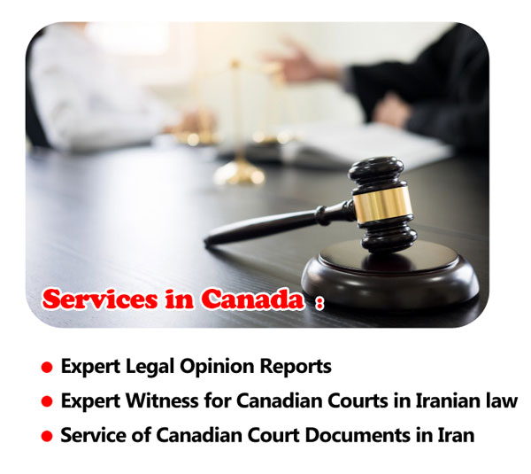 law services 